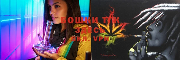 PSILOCYBIN Кедровый