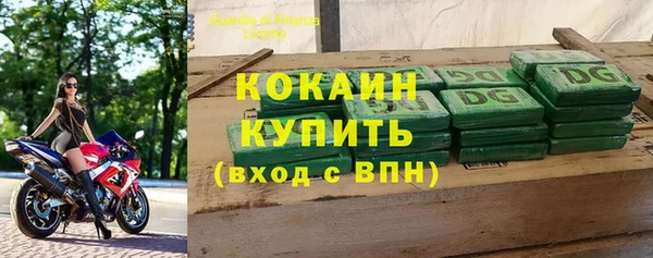 спиды Богородицк