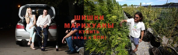 прущая мука Богданович