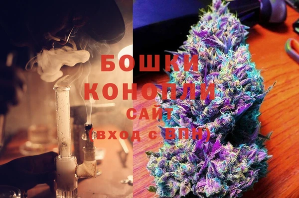спиды Богородицк