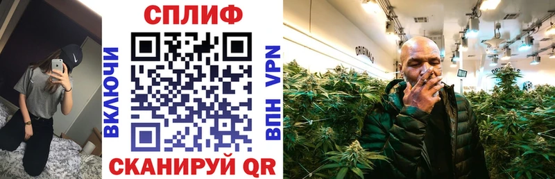 Каннабис индика  закладки  Велиж 